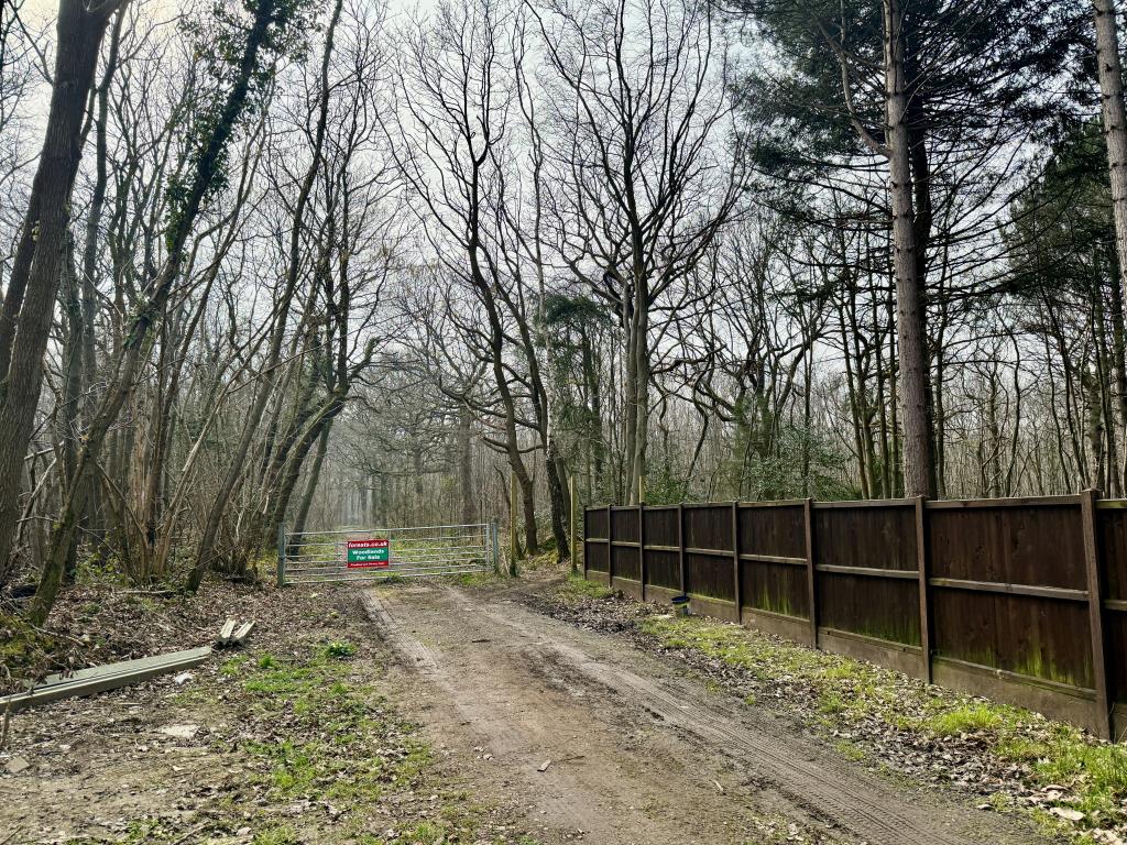 Lot: 2 - APPROX. 9.5 ACRES OF WOODLAND - Gated access to woodland